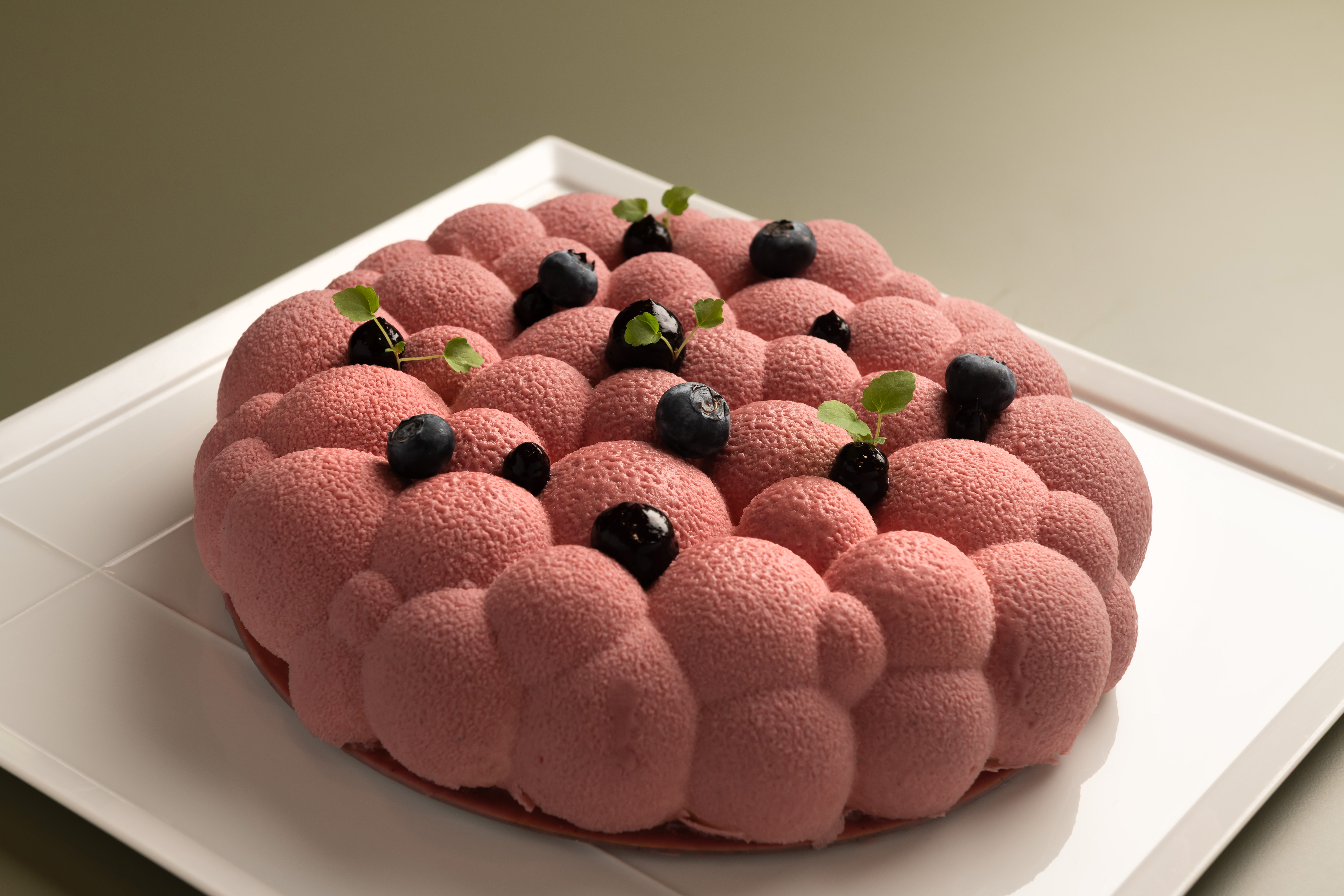 Entremets aux fruits rouges de la pâtisserie, Hôtel Brimer