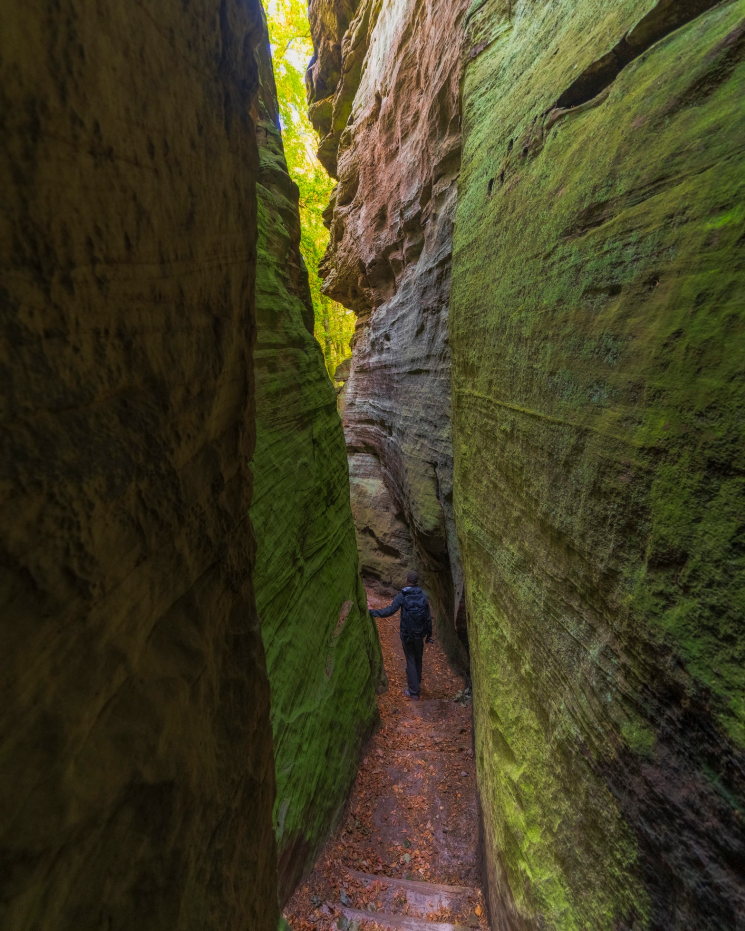 Gorge de grès moussue dans le Mullerthal